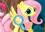MLP D Finder 2