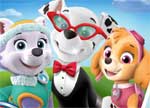 Paw Patrol Dress Up