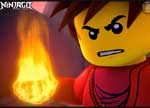 Ninjago Ninja Day