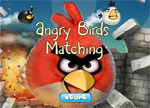 Birds Matching