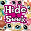 Hide and Seek