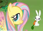 Follow Fluttershy