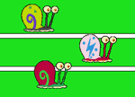 The Great Snail Race